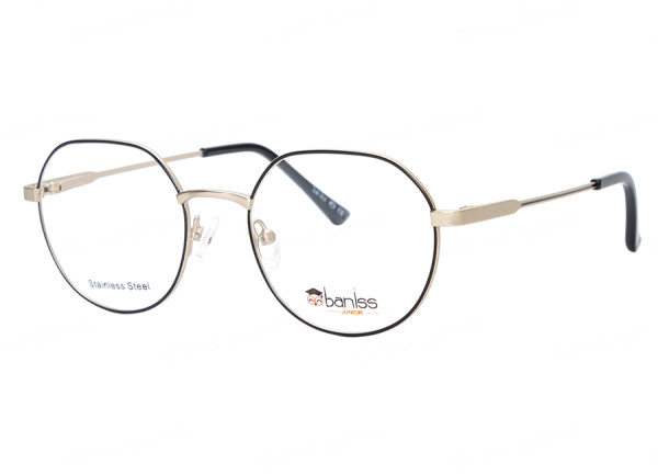Оправа для очков Baniss BSJ5083 01 - фото, цена в интернет-магазине Мода-Оптик Архангельск