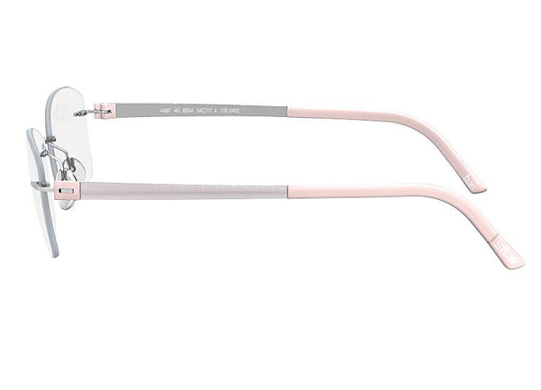 Оправа для очков Silhouette Titan Accent 4498 6052 - фото, цена в интернет-магазине Мода-Оптик Архангельск