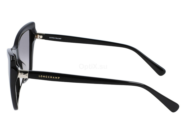 Очки солнцезащитные Longchamp 669S 001 - фото, цена в интернет-магазине Мода-Оптик Архангельск