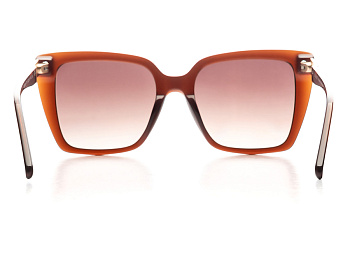 Очки солнцезащитные Bulget BG9160I Т01