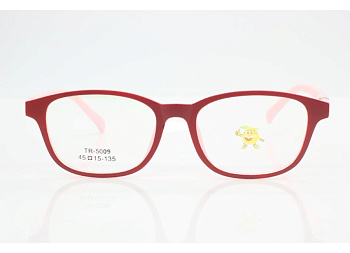 Оправа для очков TR 5009-28