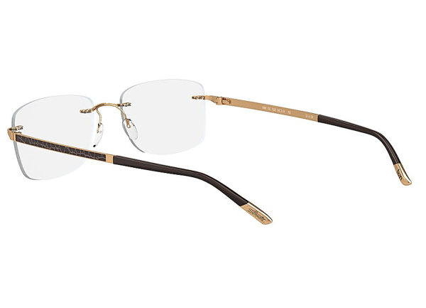 Оправа для очков Silhouette 5480DC-7520 - фото, цена в интернет-магазине Мода-Оптик Архангельск