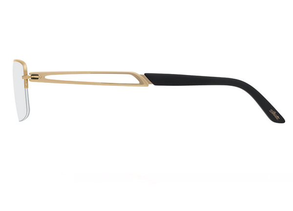 Оправа для очков Silhouette 5276-6053 - фото, цена в интернет-магазине Мода-Оптик Архангельск