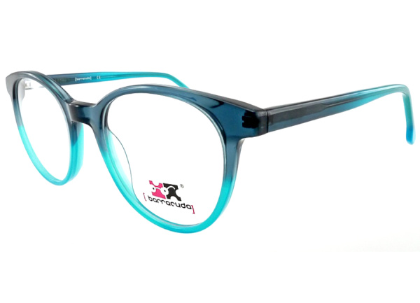 Оправа для очков Barracuda BS 802 3 - фото, цена в интернет-магазине Мода-Оптик Архангельск