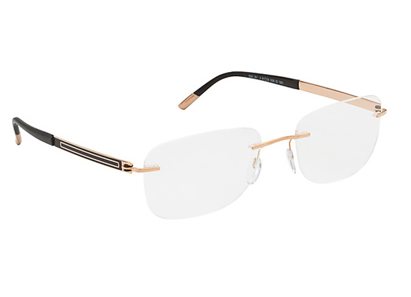 Оправа для очков Silhouette Riviera 5307-6053 - фото, цена в интернет-магазине Мода-Оптик Архангельск