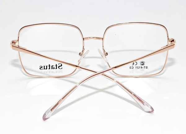 Оправа для очков Status 4121 3 - фото, цена в интернет-магазине Мода-Оптик Архангельск