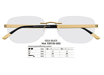 Оправа для очков Silhouette Riviera 5307-6053
