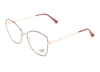 Оправа для очков Agio AG70233 C4