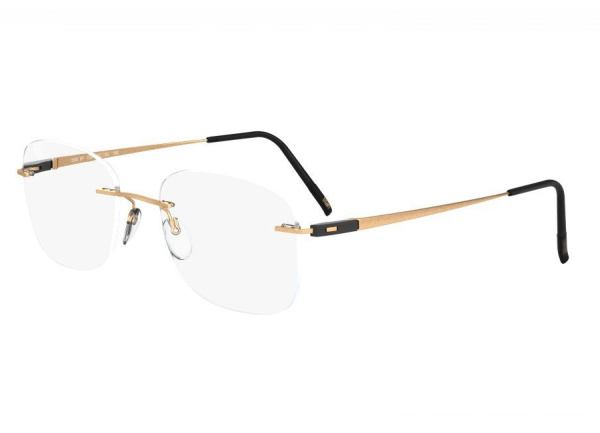 Оправа для очков Silhouette Racing Collection 5502 BQ-7530 - фото, цена в интернет-магазине Мода-Оптик Архангельск