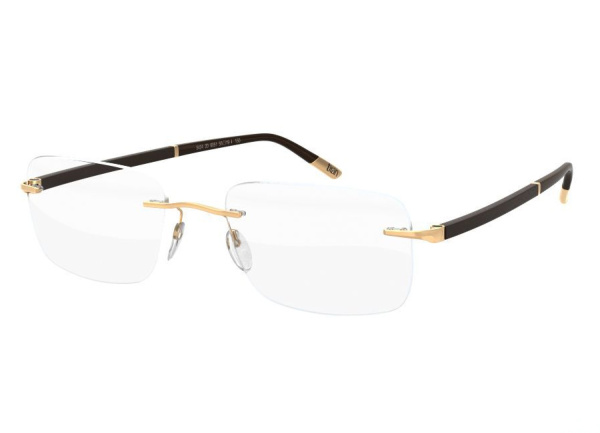 Оправа для очков Silhouette Hinge C-2 5424-6051 - фото, цена в интернет-магазине Мода-Оптик Архангельск