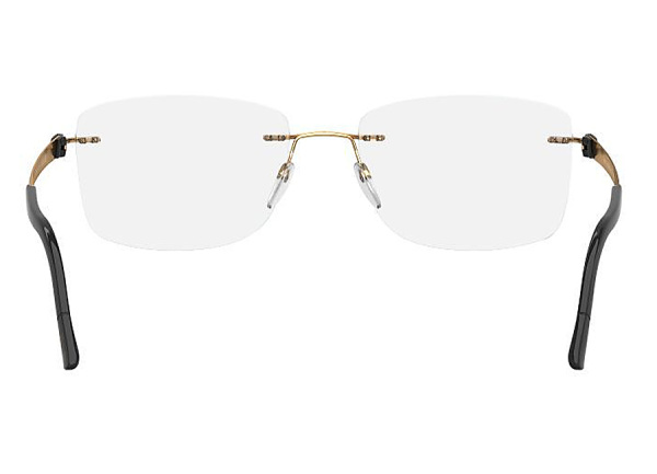 Оправа для очков Silhouette TitanAccent 5450 6051 - фото, цена в интернет-магазине Мода-Оптик Архангельск