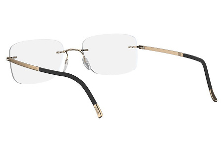 Оправа для очков Silhouette Mosaic 5471 6051 - фото, цена в интернет-магазине Мода-Оптик Архангельск