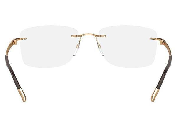 Оправа для очков Silhouette 5480DC-7520 - фото, цена в интернет-магазине Мода-Оптик Архангельск