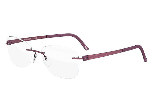 Оправа для очков Silhouette Titan Accent 4494-6057 - фото, цена в интернет-магазине Мода-Оптик Архангельск