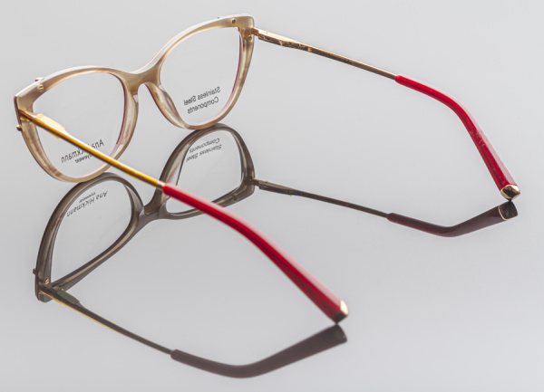 Оправа для очков Ana Hickmann 6409 E01 - фото, цена в интернет-магазине Мода-Оптик Архангельск
