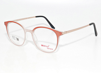 Оправа для очков Ben.X 290 06
