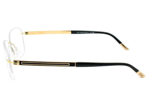 Оправа для очков Silhouette Riviera 5307-6053 - фото, цена в интернет-магазине Мода-Оптик Архангельск