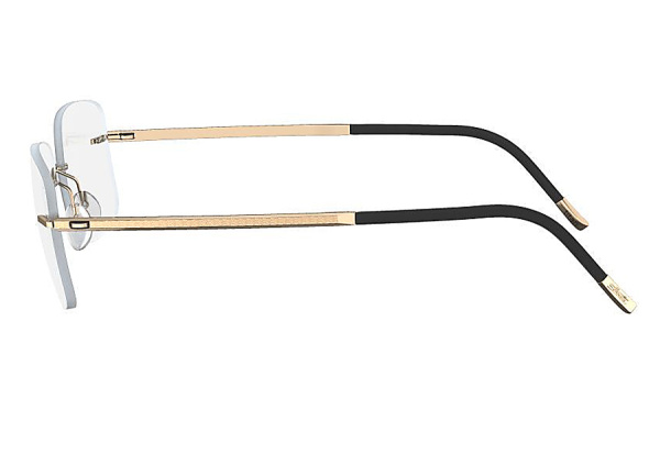 Оправа для очков Silhouette Mosaic 5471 6051 - фото, цена в интернет-магазине Мода-Оптик Архангельск