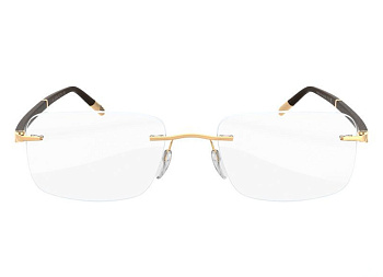 Оправа для очков Silhouette Hinge C-2 5424-6051